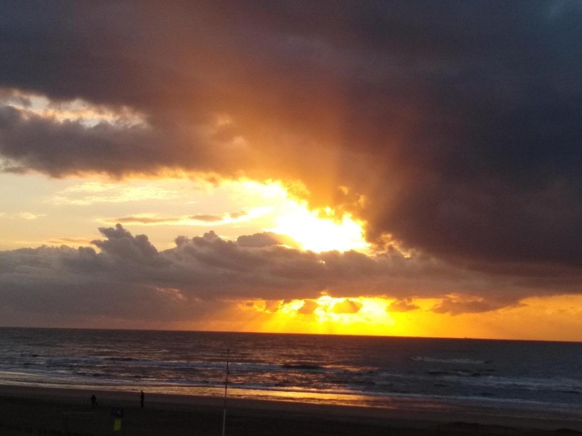 Duinen Paradijs Zandvoort Kültér fotó